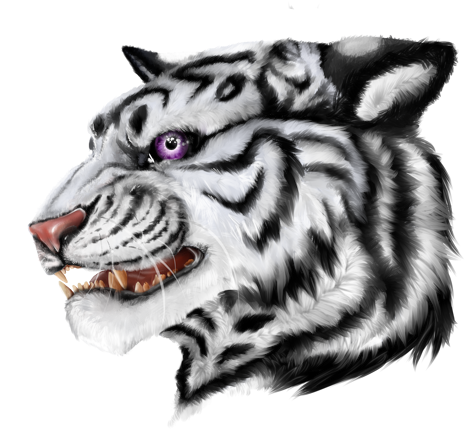 Discord - Kyubey - Siberian Tiger (640x554), Png Download