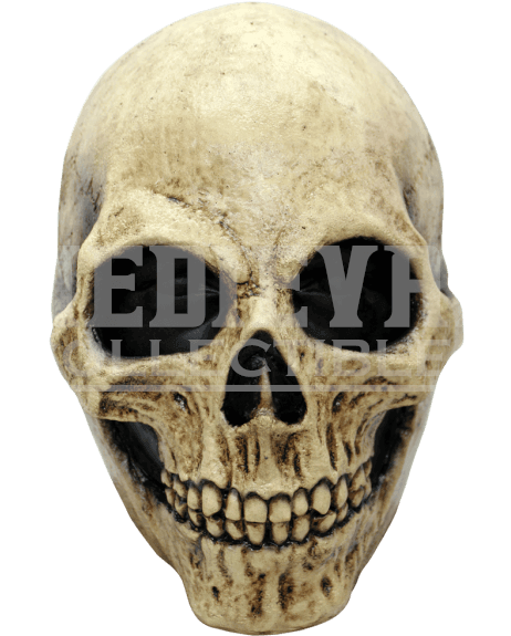 Tete De Squelette (600x600), Png Download