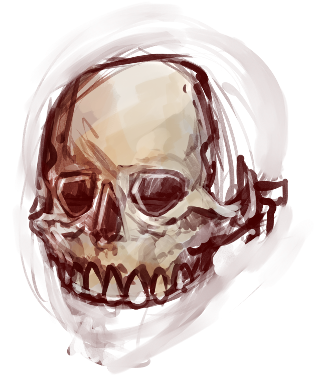 2 - Skull (800x847), Png Download