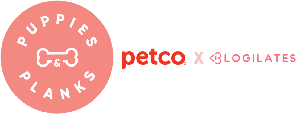 Petco Where The Healthy Pets (1000x401), Png Download