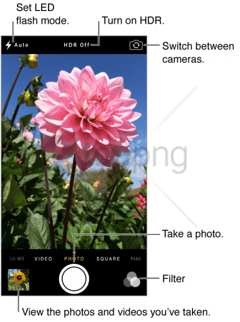 Free Png Download Iphone Camera Mode Png Images Background - 8mp Isight Camera (480x643), Png Download