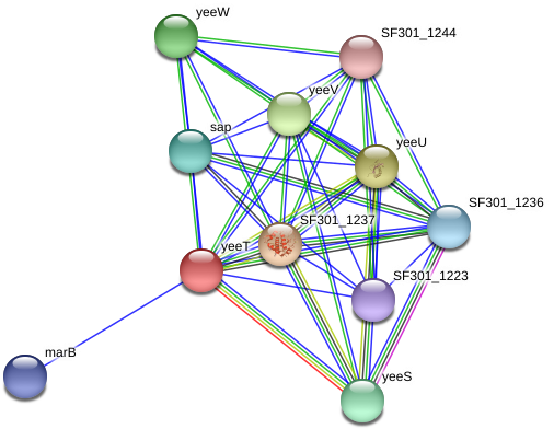 Circle (975x428), Png Download