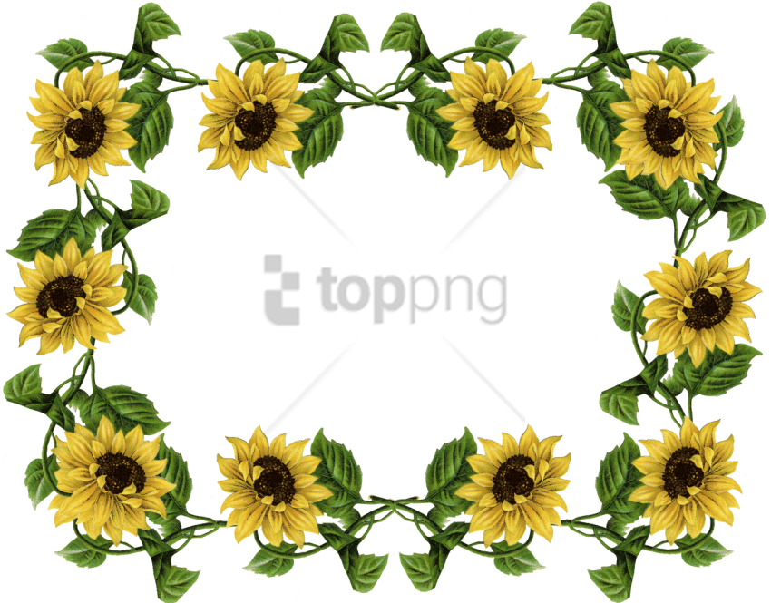 Free Png Sunflower Frame Png Png Image With Transparent - Sunflower Border Transparent Background (850x665), Png Download