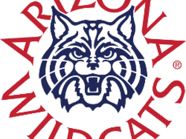 Wildcat Clipart Arizona - University Of Arizona Wildcats (640x480), Png Download
