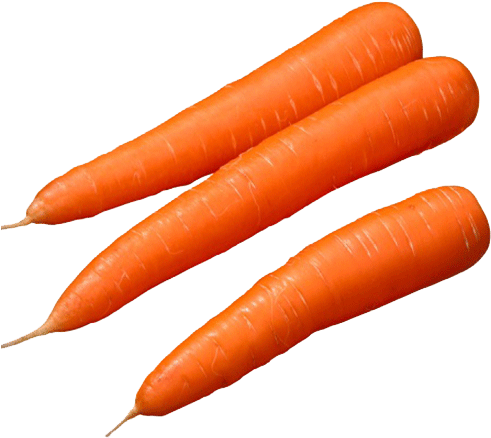 Zanahoria - Baby Carrot (500x650), Png Download