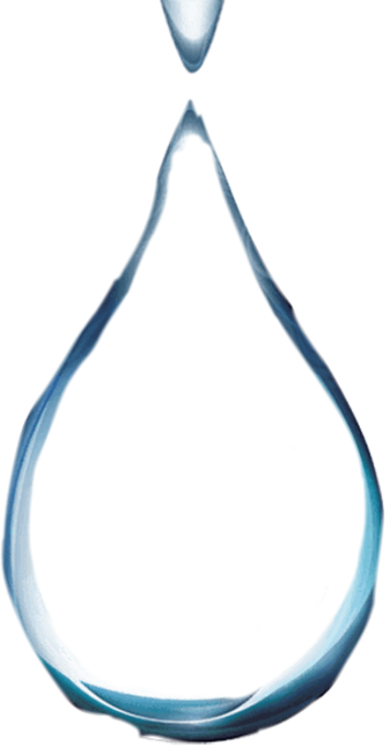 Necklace (351x679), Png Download