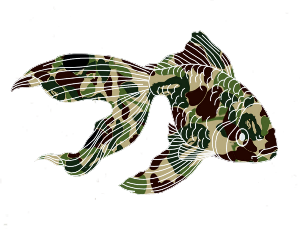 Report Abuse - Lionfish (1024x768), Png Download