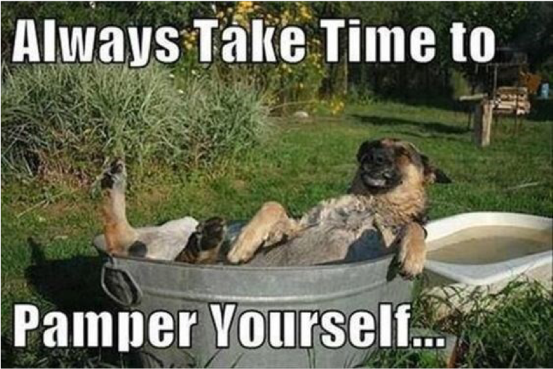 Author Cleanmemesposted On March 24, 2019 February - Take Time For Yourself Meme (800x800), Png Download