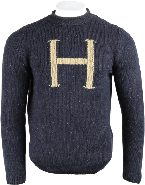 Harry Potter Jumper (528x600), Png Download