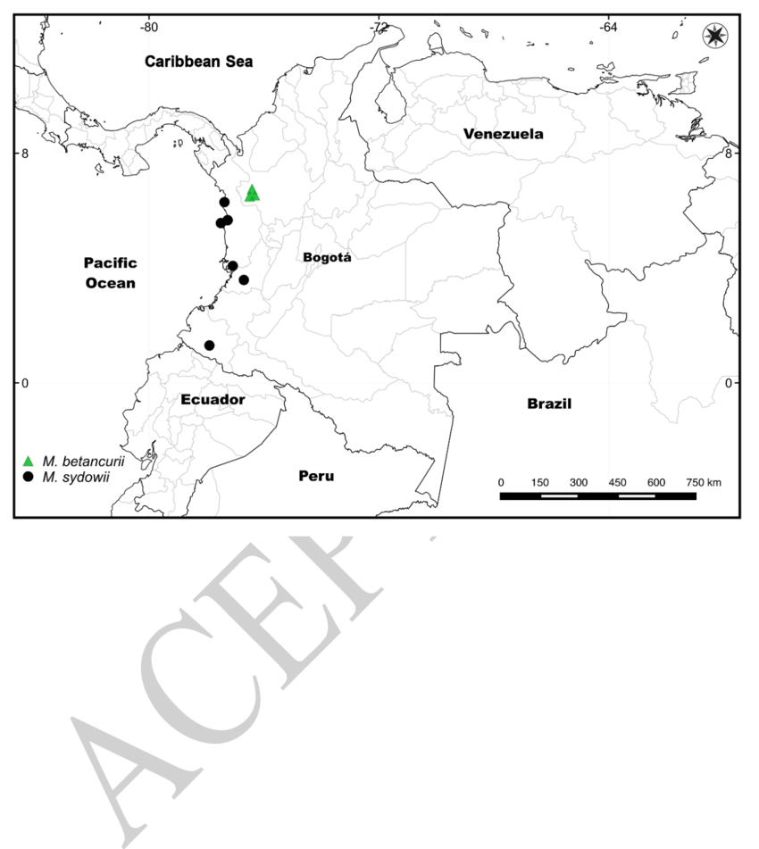 Distribution Of Manekia Betancurii And Manekia Sydowii - Aceh Party (850x951), Png Download