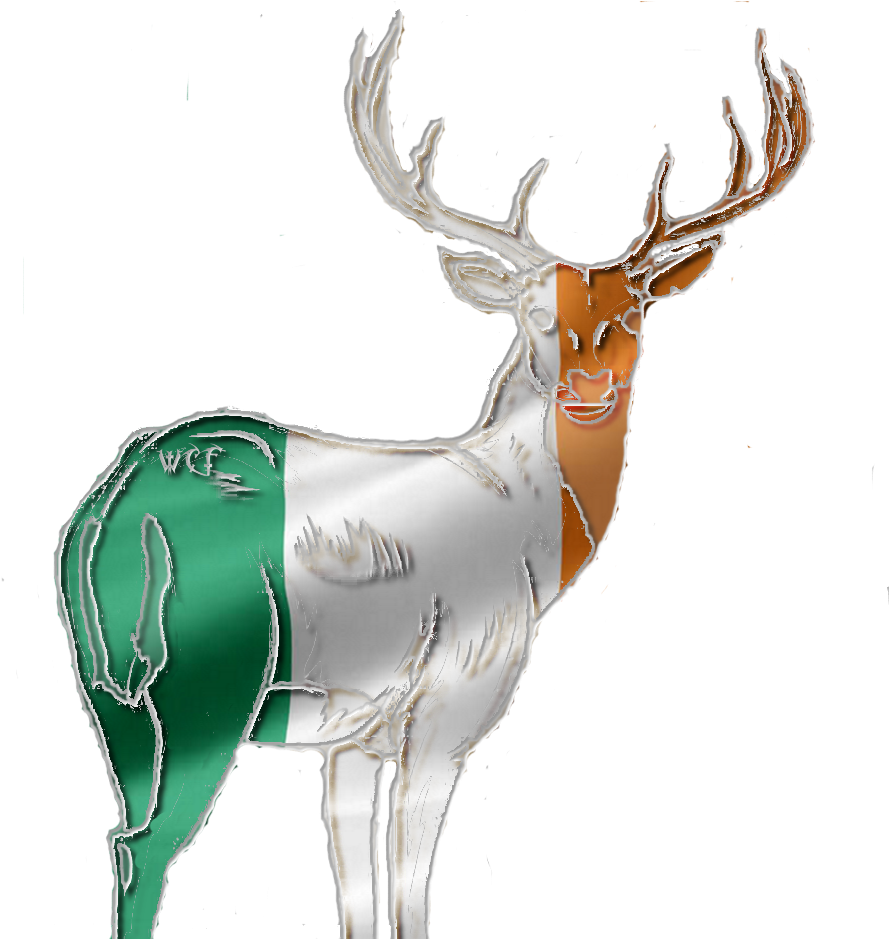 Ireland-red Deer Stag Photo Irelandreddeerstag - Elk (938x938), Png Download