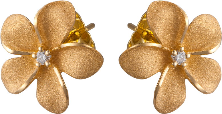 Flower Stud Earring - Earrings (1024x768), Png Download