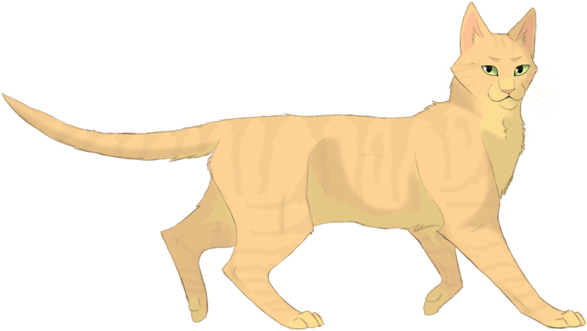 Images De Tempête De Sable - Sandstorm The Warrior Cat (900x515), Png Download
