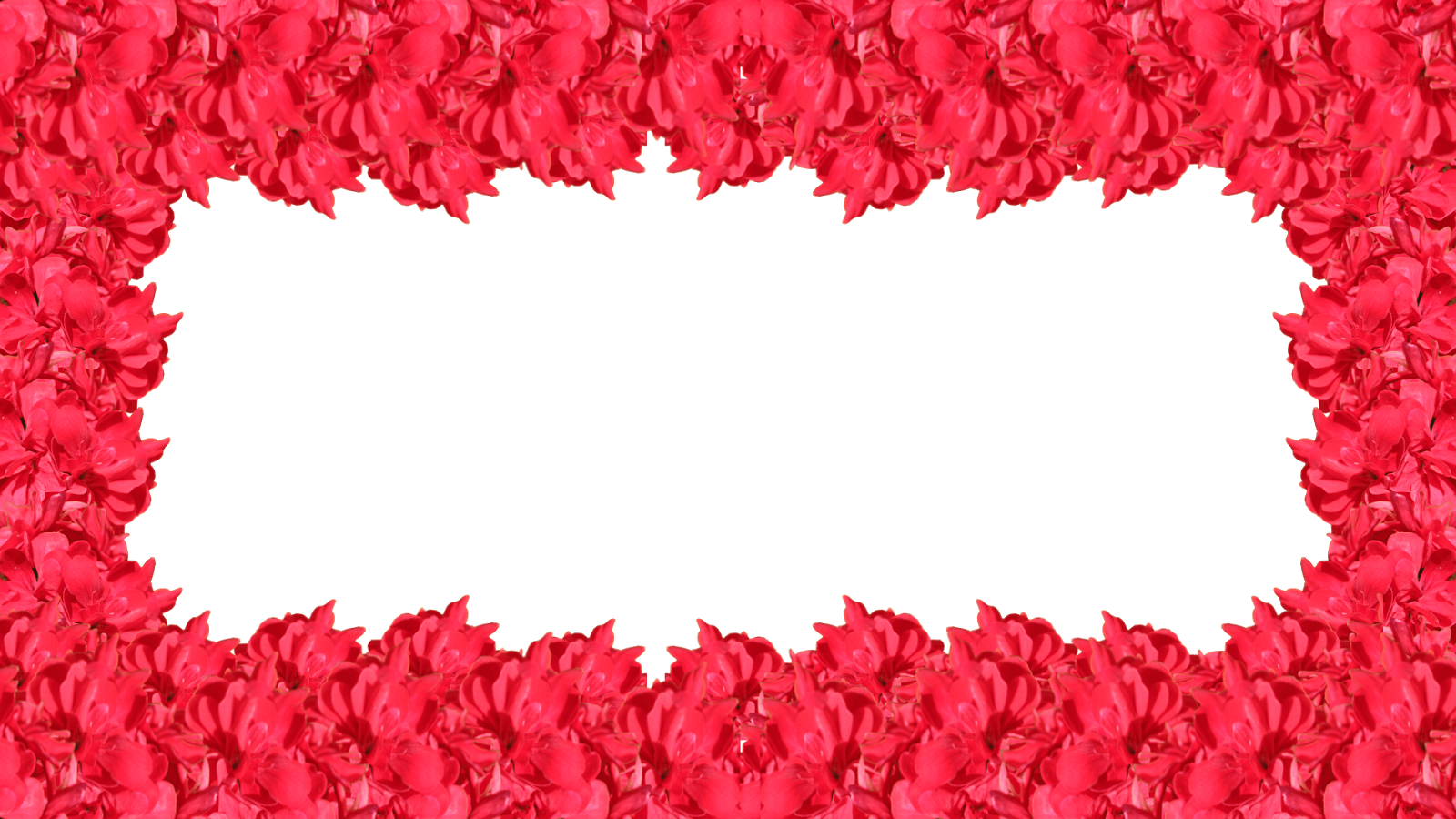 Carmine (1600x900), Png Download