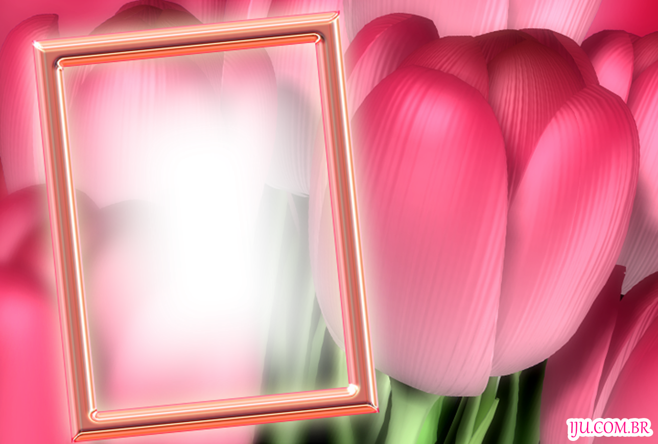Molduras Para Fotos Flores - Flower Frames Png Free (1288x870), Png Download