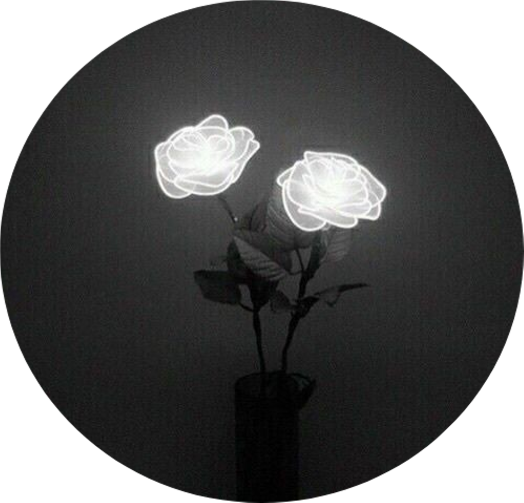 Tumblr Aesthetic Black Roses Rose - White Rose Tumblr Aesthetic (1024x983), Png Download