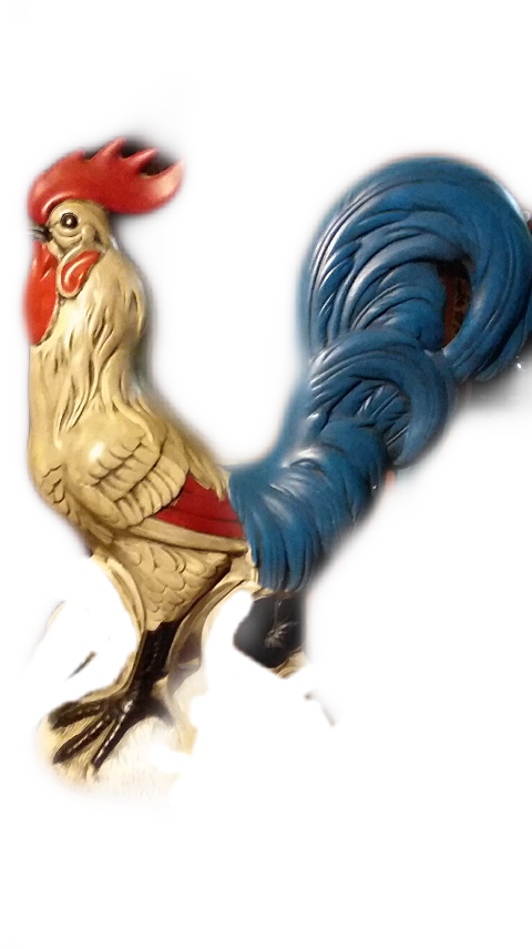 Rooster (480x856), Png Download
