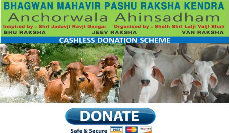 Dairy Cow (750x435), Png Download