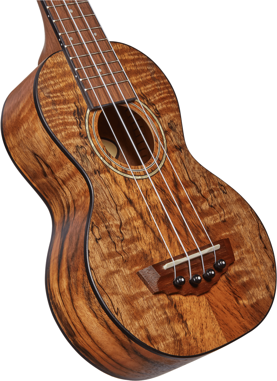 Bass Guitar (1600x1600), Png Download