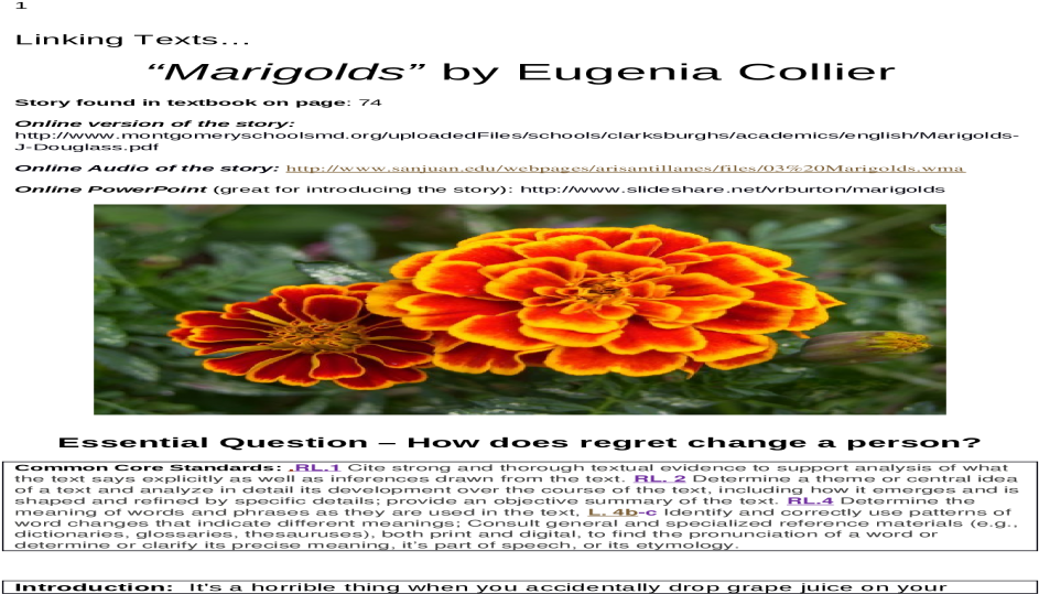 9 Unit 4 Unit 4 Comp Web Viewidentify And Correctly - Tagetes Patula (1200x630), Png Download