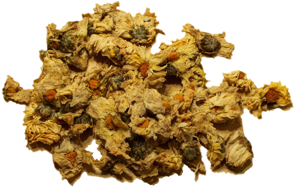 中药材菊花 - Dược Liệu Cúc Hoa (1024x958), Png Download