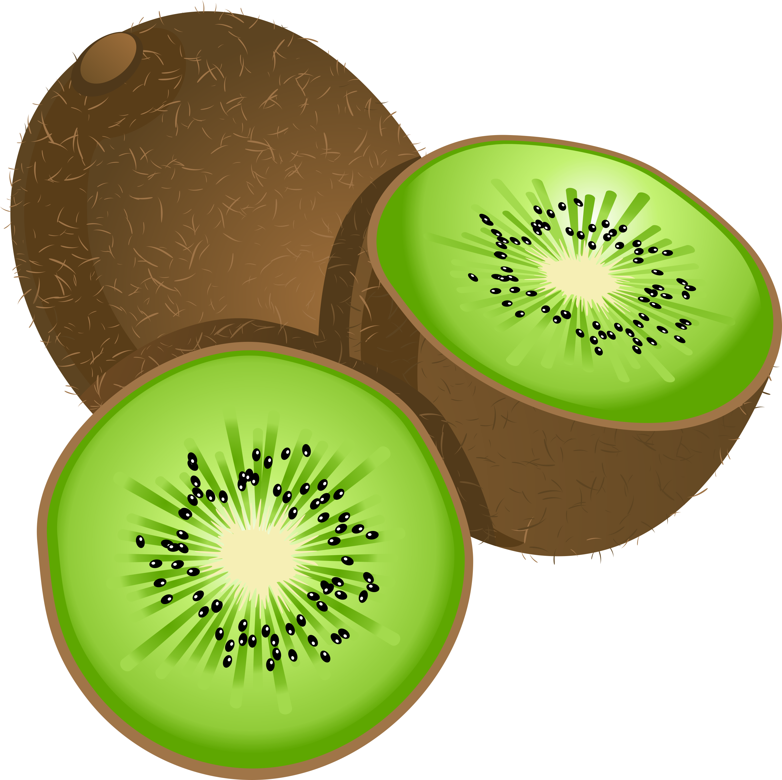 Picture Royalty Free Download Kiwifruit Stock Photography - Kiwi Fruit Clip Art (2737x2731), Png Download