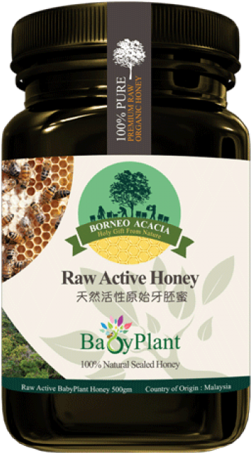 Babyplant Raw Active Honey - Bentong Ginger Product (700x700), Png Download