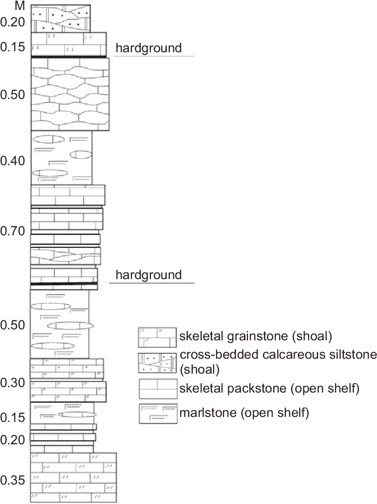 Stratigraphic Section At The Ohesaare Formation At - Diagram (757x1038), Png Download