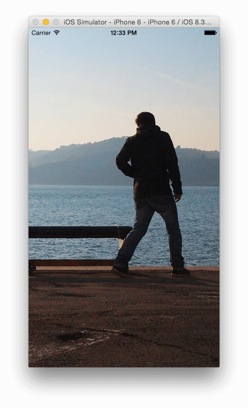 Scroll View Image Demok - Zoom Image Bootstrap (487x801), Png Download