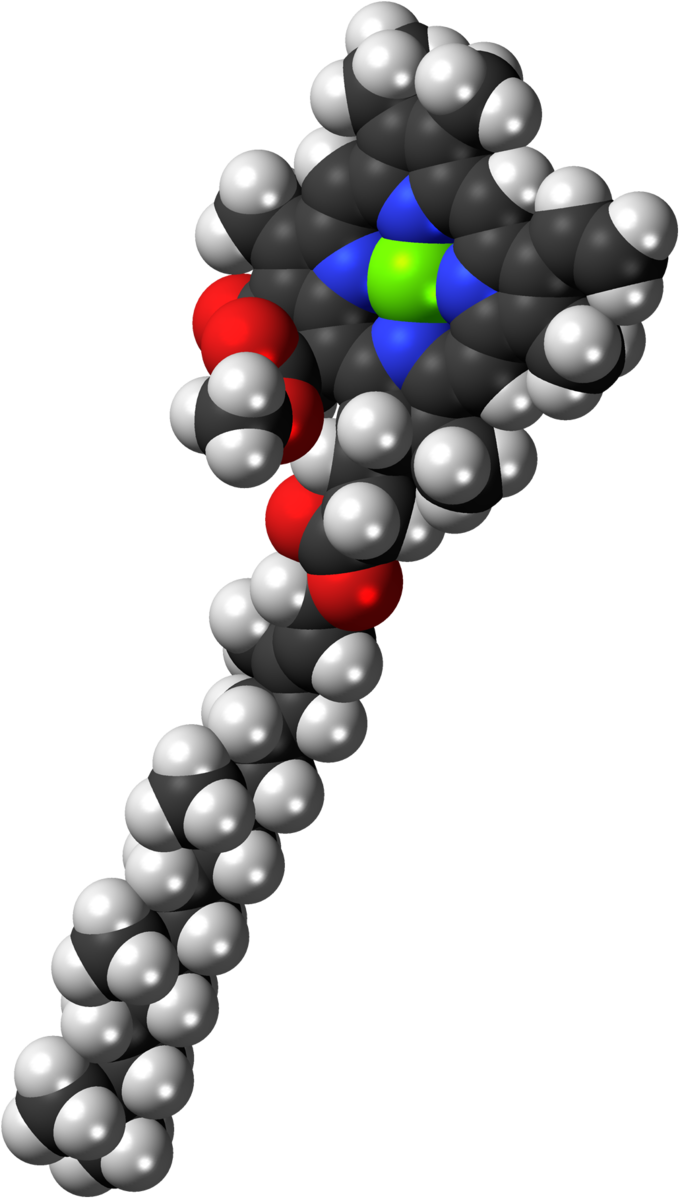 Chlorophyll 3d (800x1319), Png Download