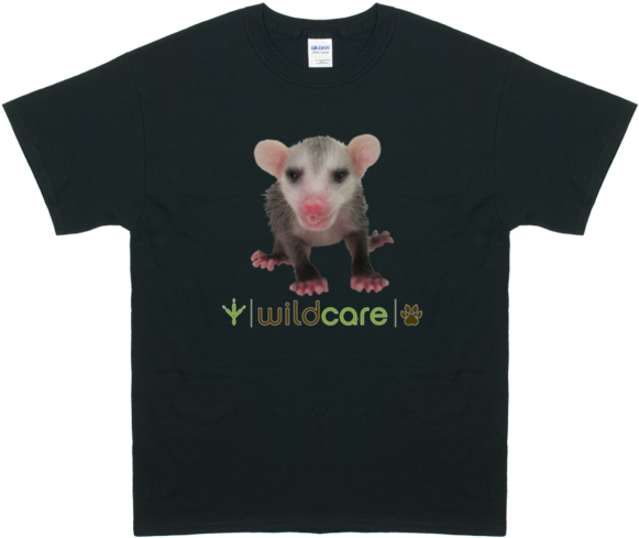 T-shirt (600x537), Png Download