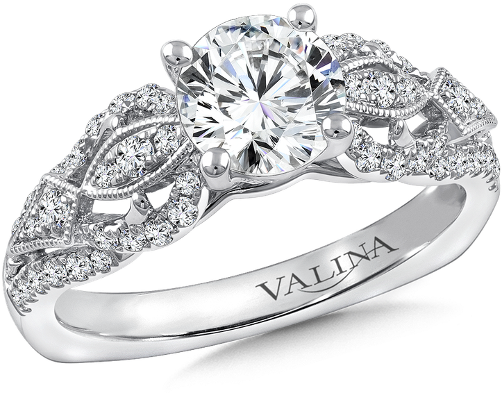 Valina Diamond Engagement Ring Mounting In 14k White - Engagement Ring (800x800), Png Download