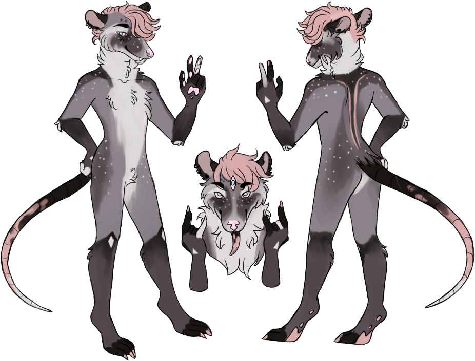 Illustration (995x757), Png Download