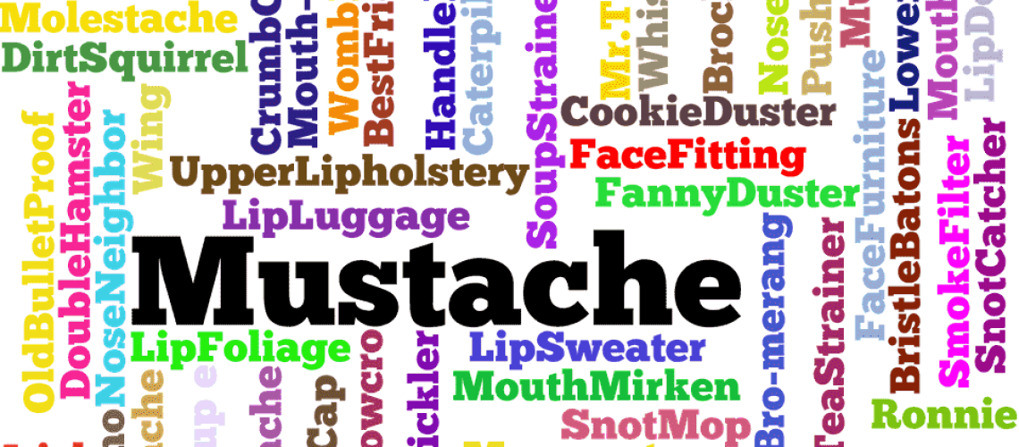 Slang Words For Beard In - E! News (1140x500), Png Download