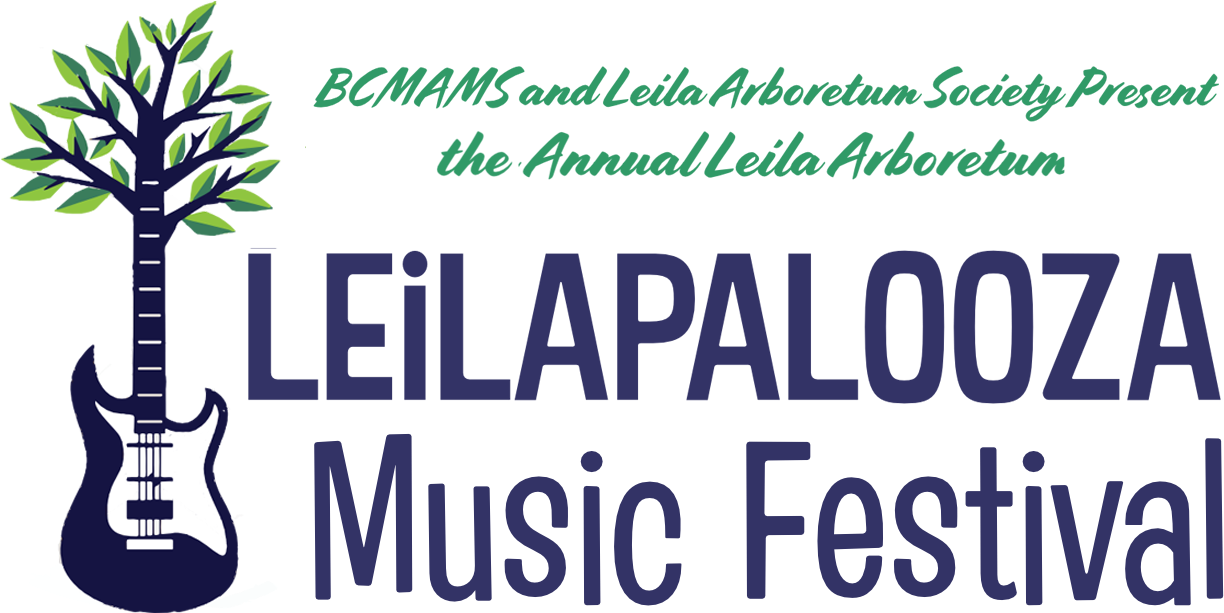 Leilapalooza - Festival Do Rio 2010 (1253x640), Png Download