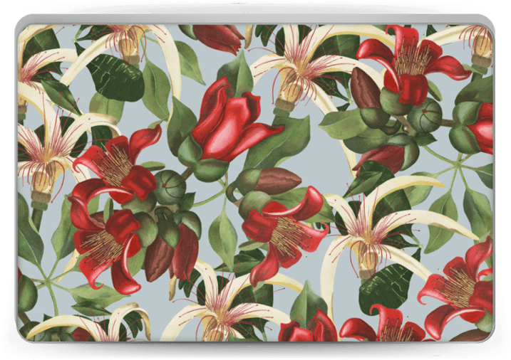 Dreamy Flower Skin Laptop - Anthurium (800x533), Png Download