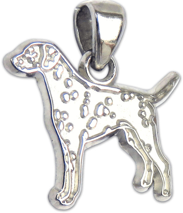 Dalmatian Pendant - Chihuahua (800x800), Png Download