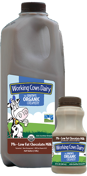 1/2 Gallon Organic Lowfat Chocolate Milk - Plastic Bottle (600x659), Png Download