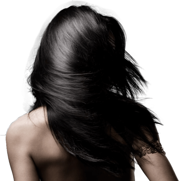 Hairdresser Stirling - Hair (600x600), Png Download