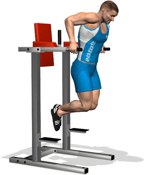 What Muscles Do Dips Workout - Deep Tricipiti (700x700), Png Download