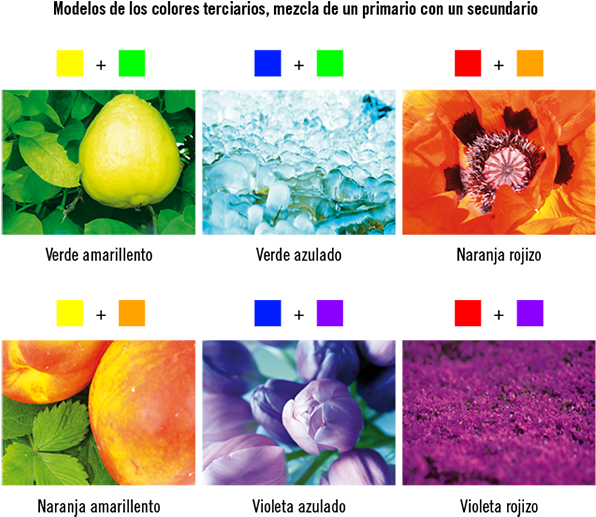 Los Colores Terciarios - Objetos De Colores Secundarios (600x523), Png Download