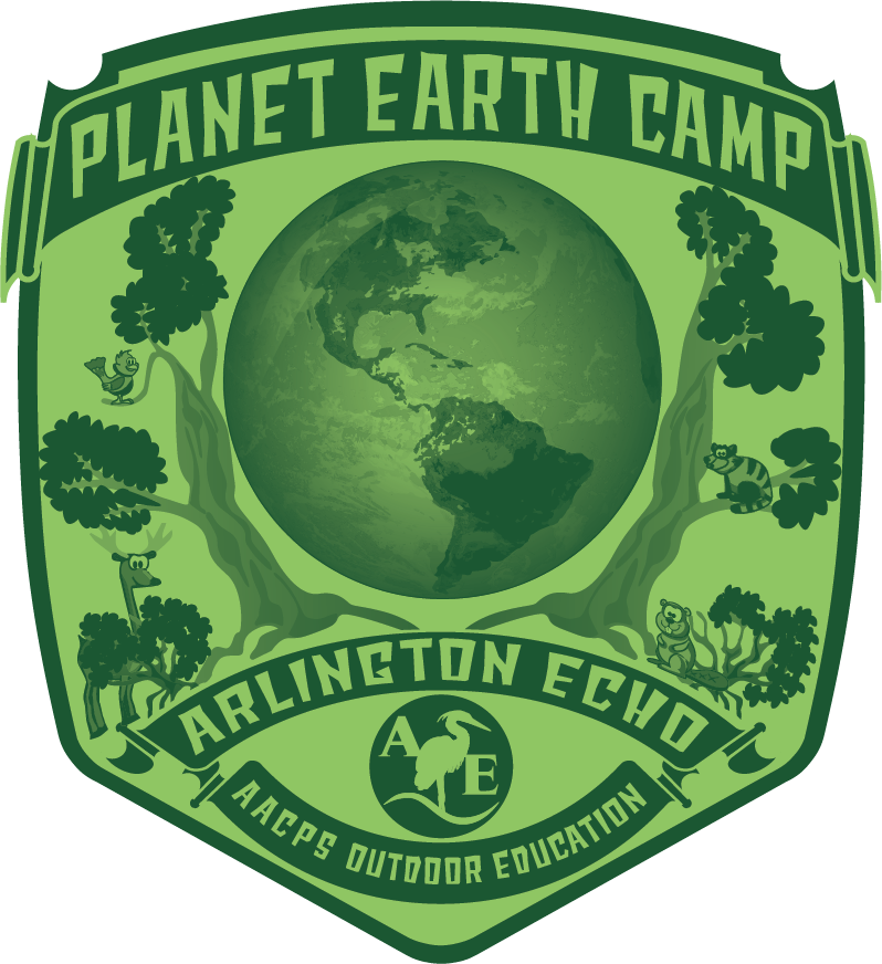 Planet Earth For Campers Entering Grades 4 - Earth (798x872), Png Download