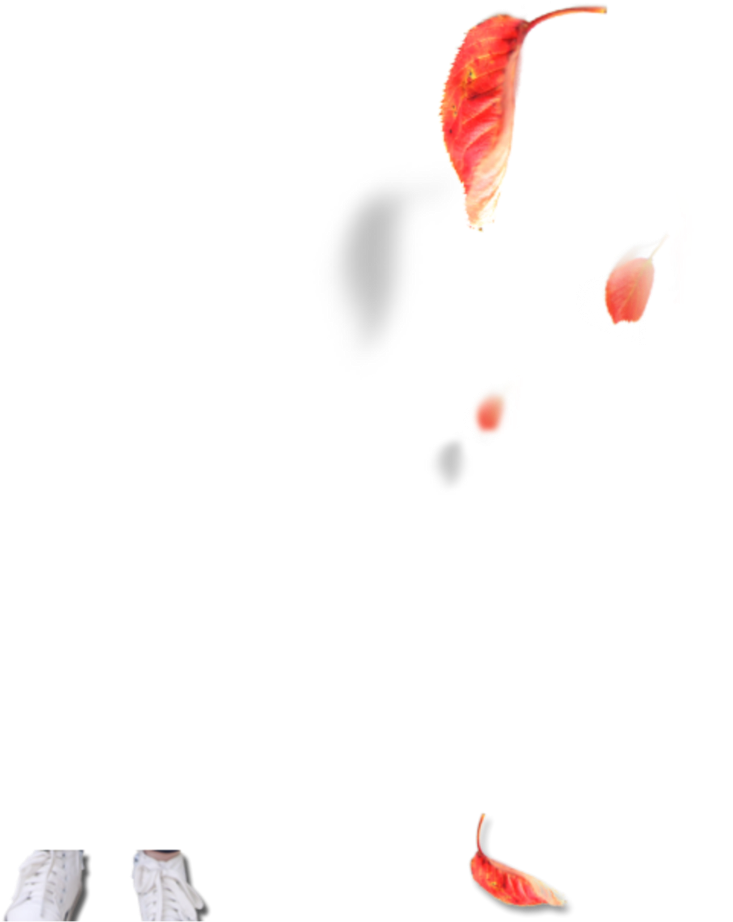 Parachuting (1024x1024), Png Download