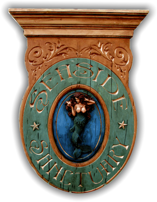 00 Interior Or Exterior* Tropical Vintage Beach House (565x703), Png Download