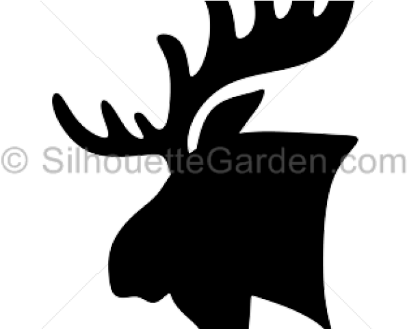 Moose Clipart Moose Head - Illustration (640x480), Png Download