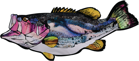Fish - Bass (650x650), Png Download