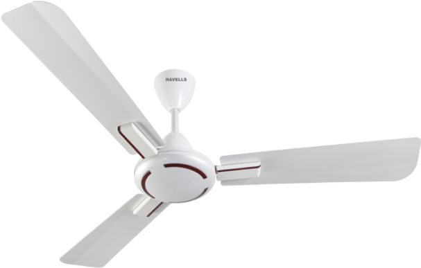 Amborse Wh-650x500 - Png - Ceiling Fan White Png (650x500), Png Download