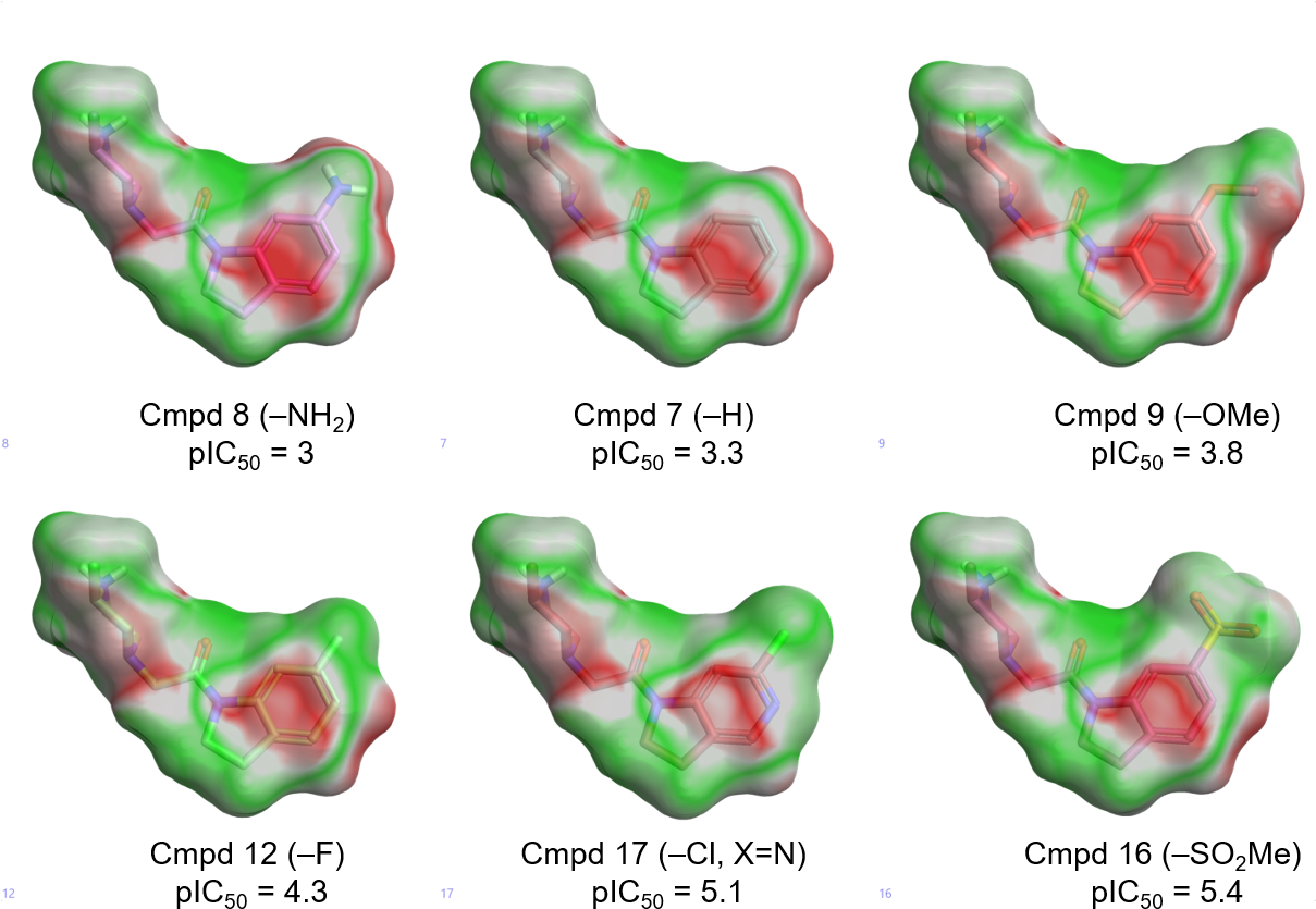 Electrostatic Complementarity Maps For Some Of The (1222x853), Png Download