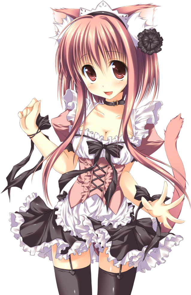 Neko Girl - Google Search - Anime Adorable Neko Girl (806x992), Png Download