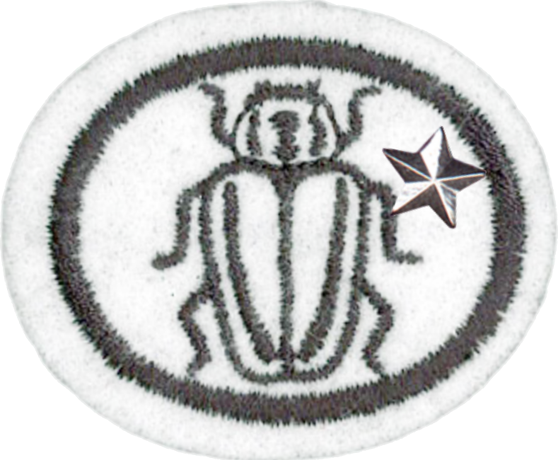 Insects Advanced - Insect Honor Pathfinders Patch (789x650), Png Download
